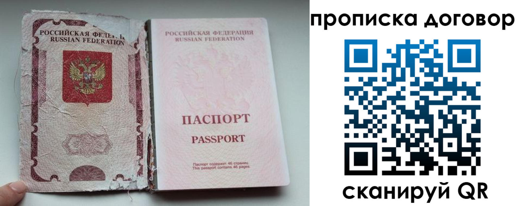 прописка поиск в Ермолино